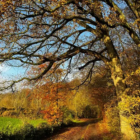 Lägenhet Gruene Welle Holzbunge
