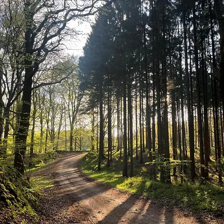 Lägenhet Gruene Welle