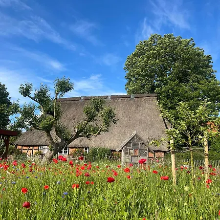 Gruene Welle Lägenhet