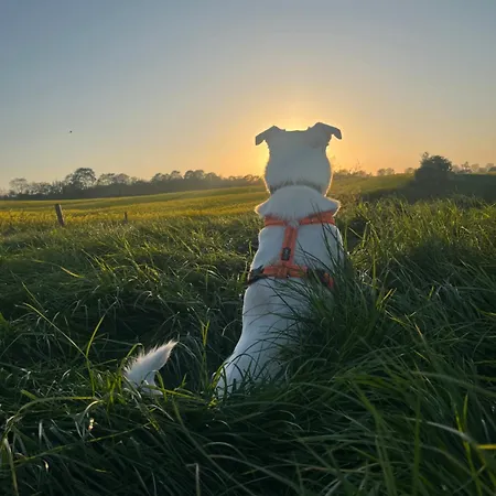 Lägenhet Gruene Welle Holzbunge