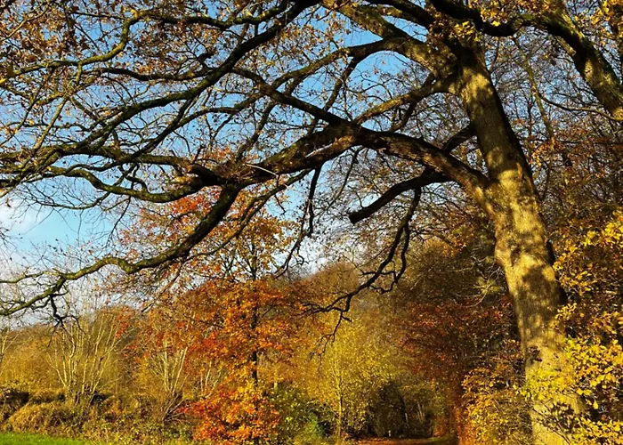 アパート Gruene Welle Holzbunge