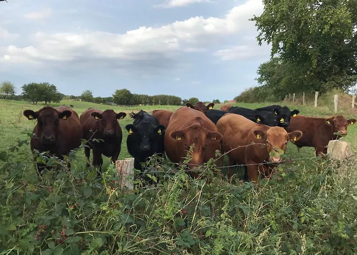 Appartement Gruene Welle Holzbunge